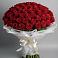 Букет 101 Красная роза Блэк Мэджик в Волгореченске