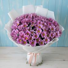 Букет цветов из:  Хризантемы в Волгореченске