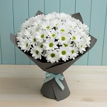 Букет цветов из:  Хризантемы в Волгореченске