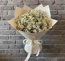 Букет цветов из:  Ромашки в Волгореченске