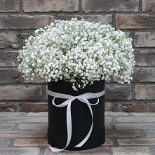 Цветочная композиция из Гипсофила в шляпной коробке #REPLACE_PRED# Волгореченске