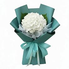 Букет цветов из:  Гортензия в Волгореченске